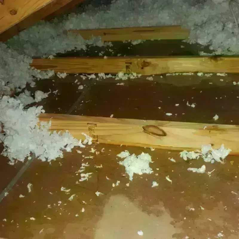 Attic Water Damage in Lincoln County, GA